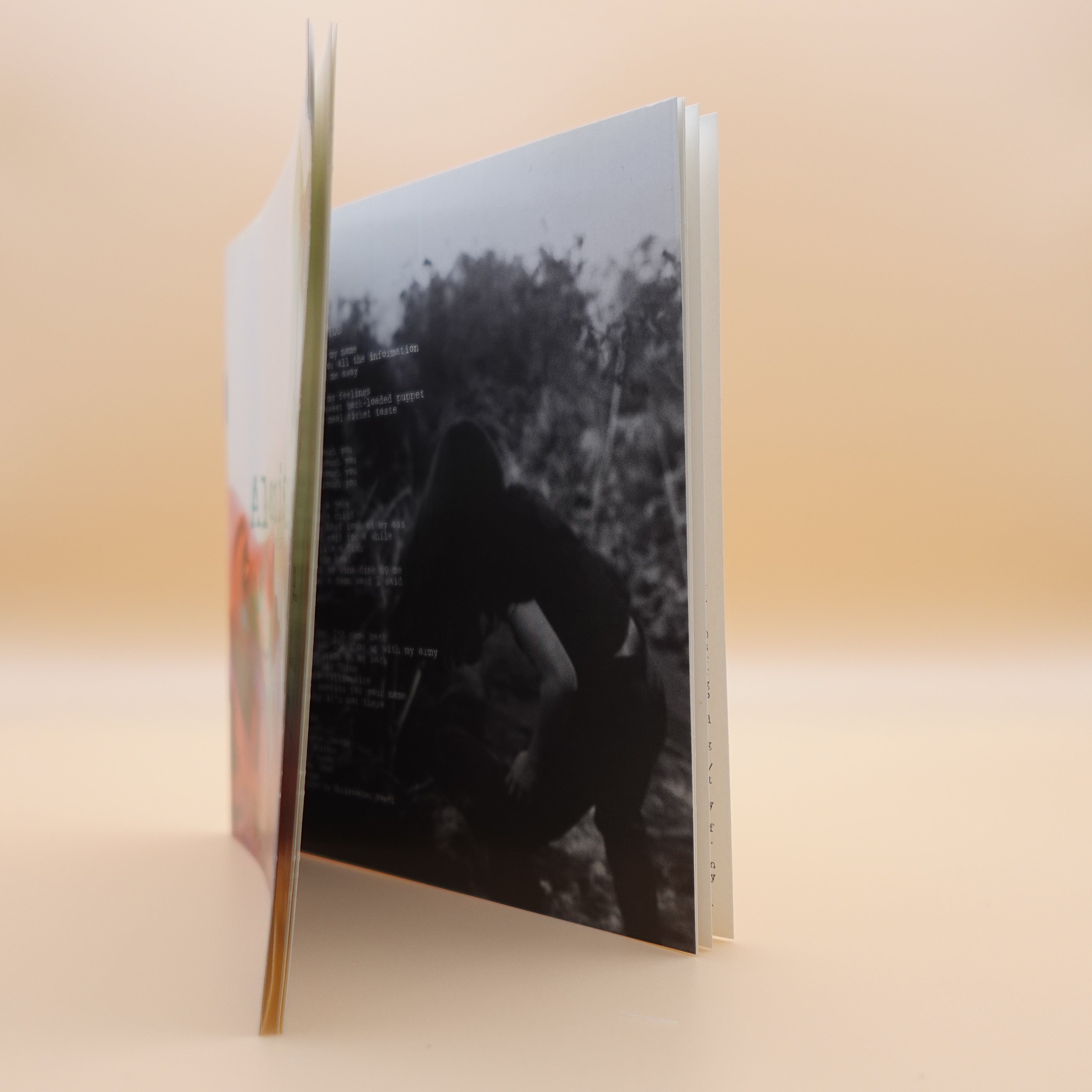 Alanis Morissette - Jagged Little Pill